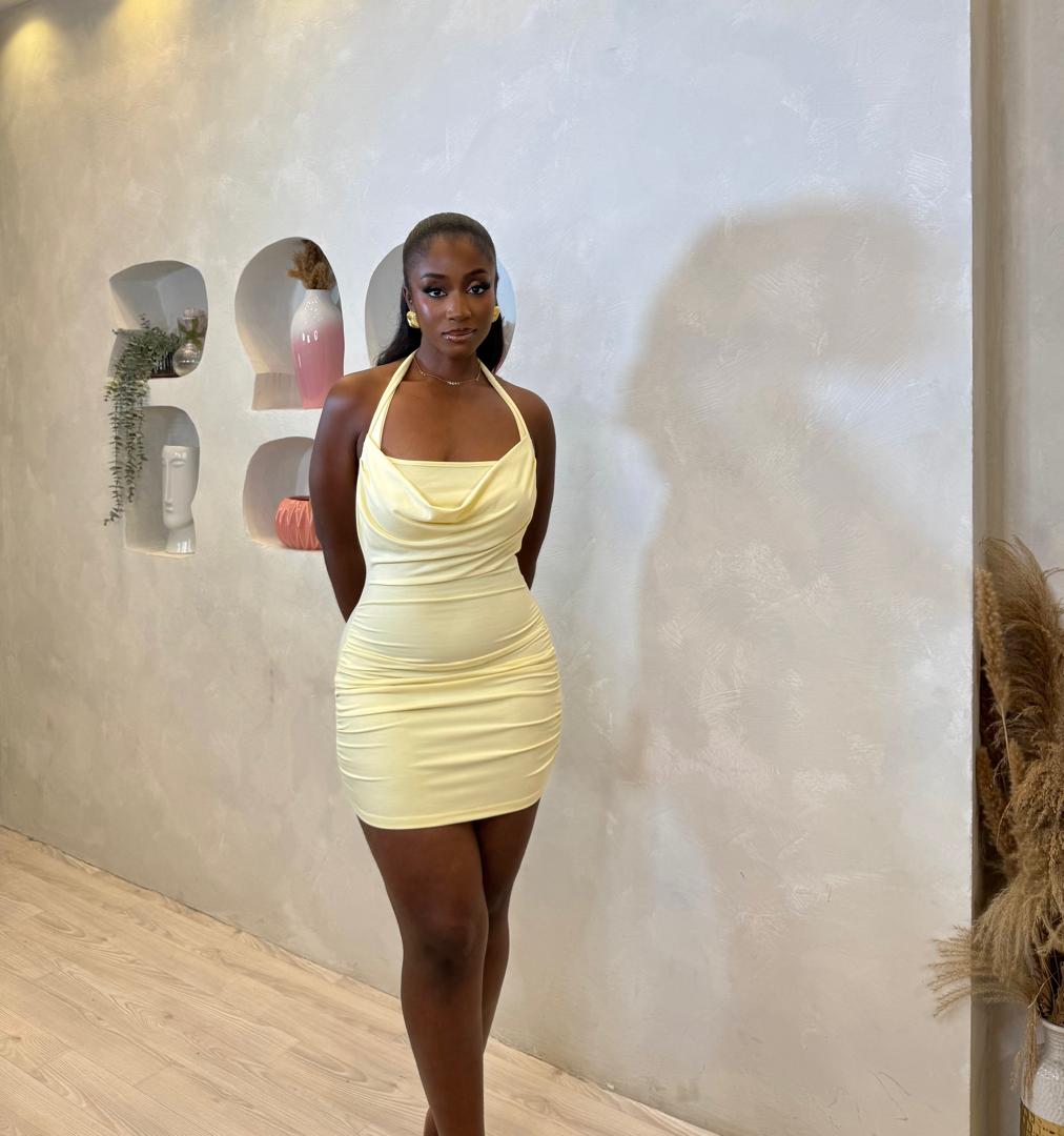 Life Lately Mini Dress