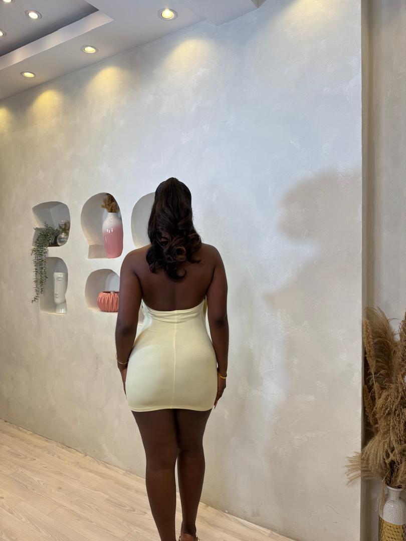 Life Lately Mini Dress