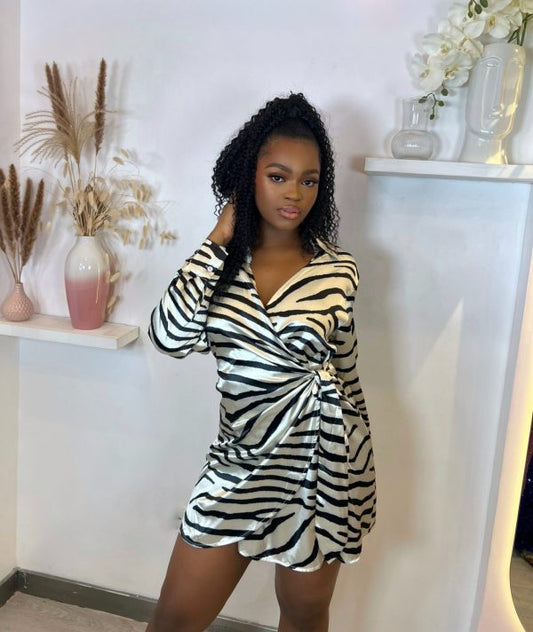 Wild Instincts Mini Dress