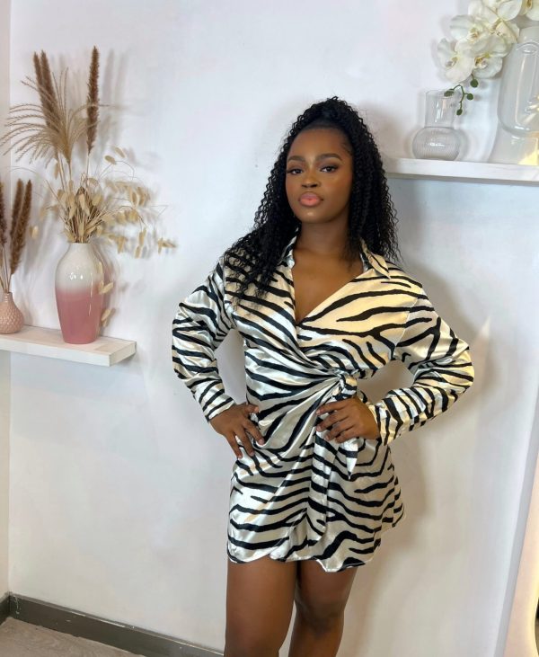 Wild Instincts Mini Dress