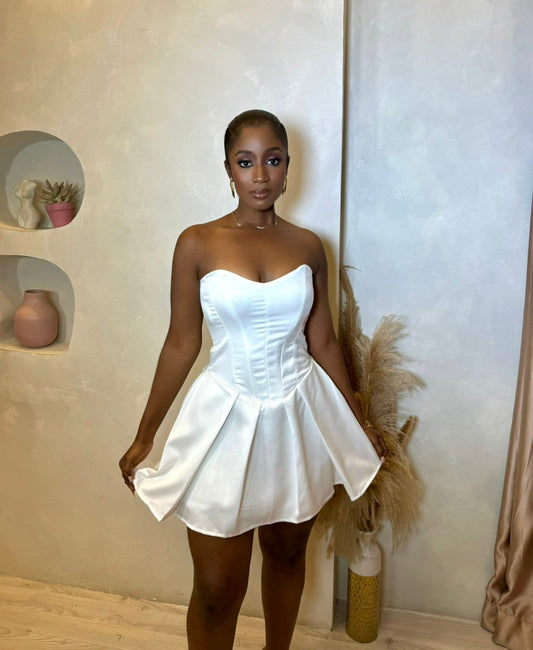 New Vanity Mini Dress