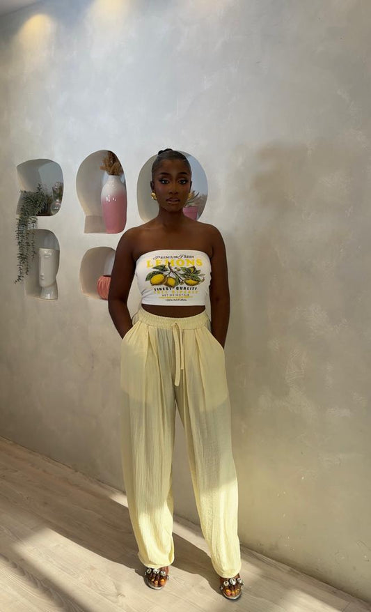 Aladin Pant