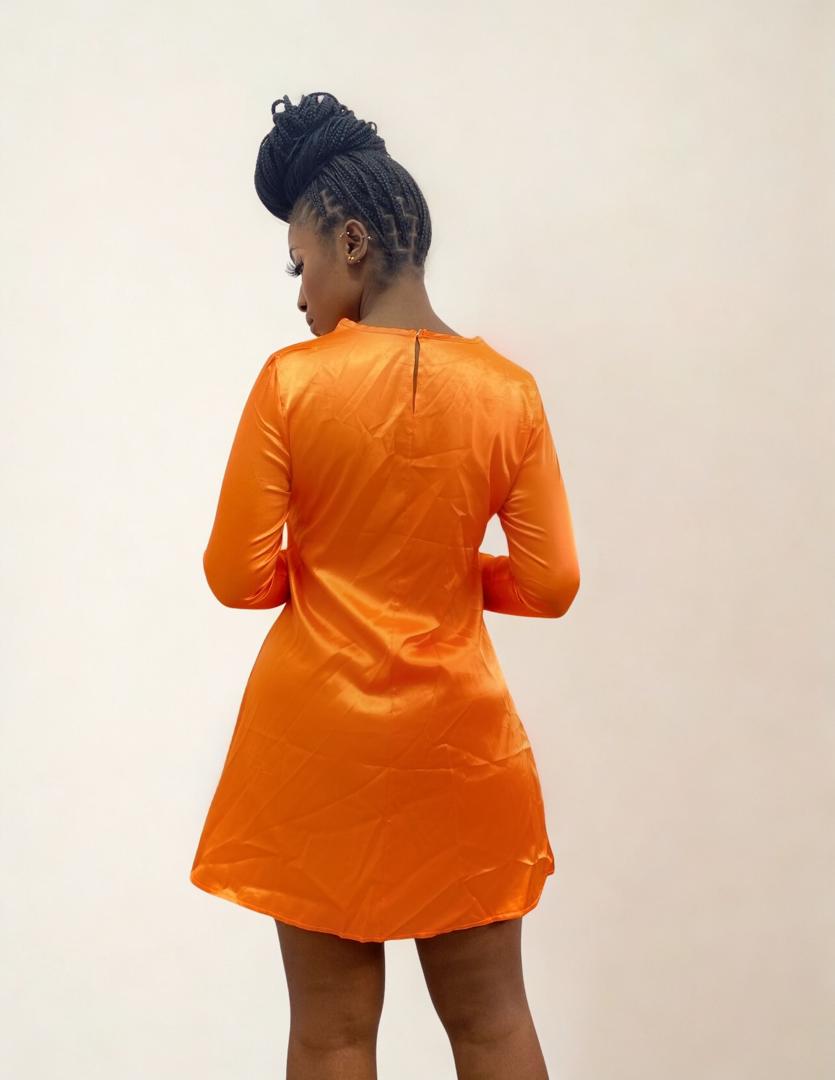 Oriala Mini Dress