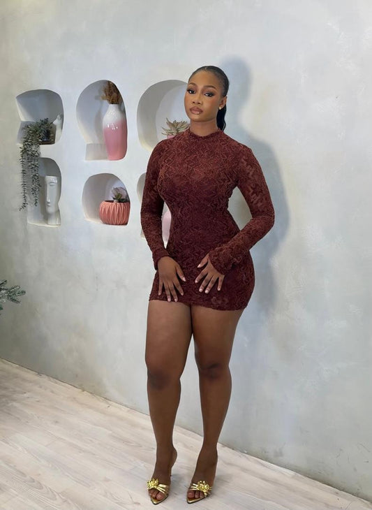 Jiya Lace Mini Dress