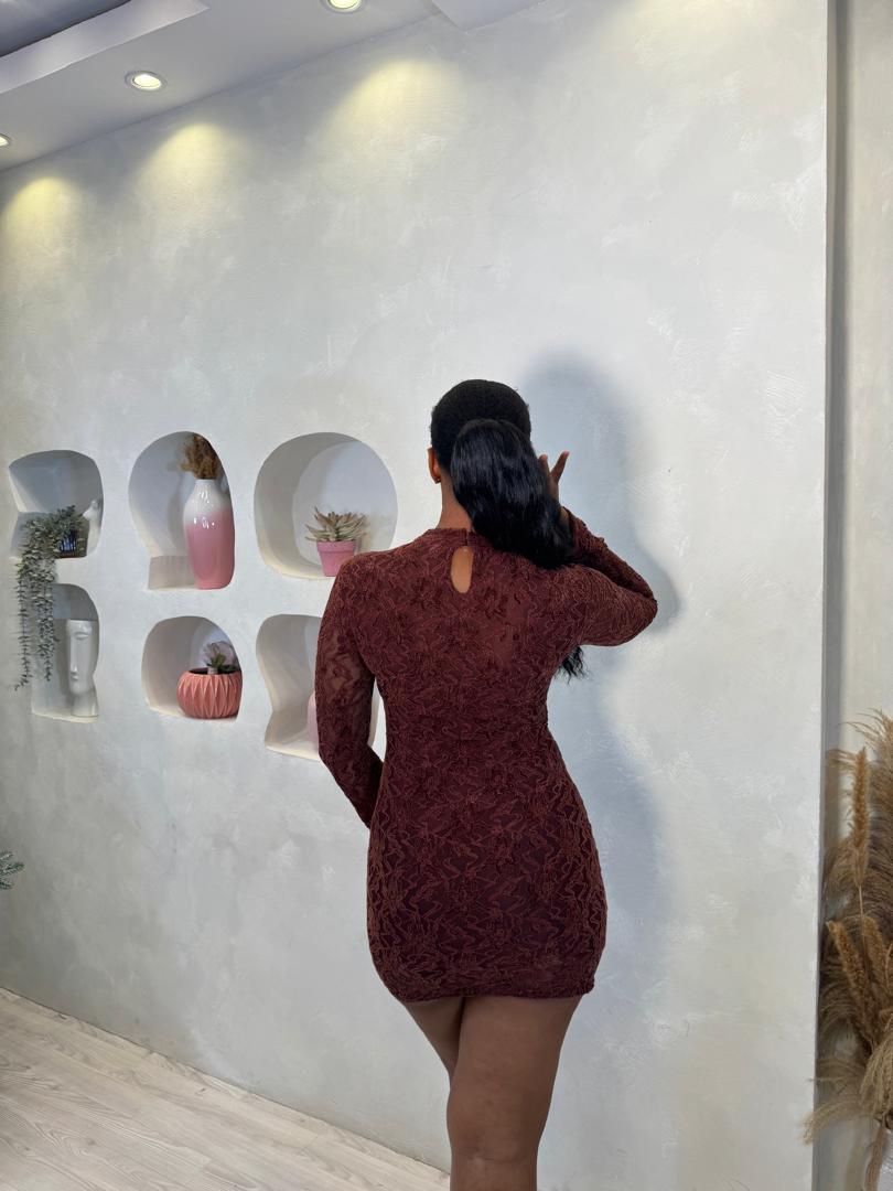 Jiya Lace Mini Dress